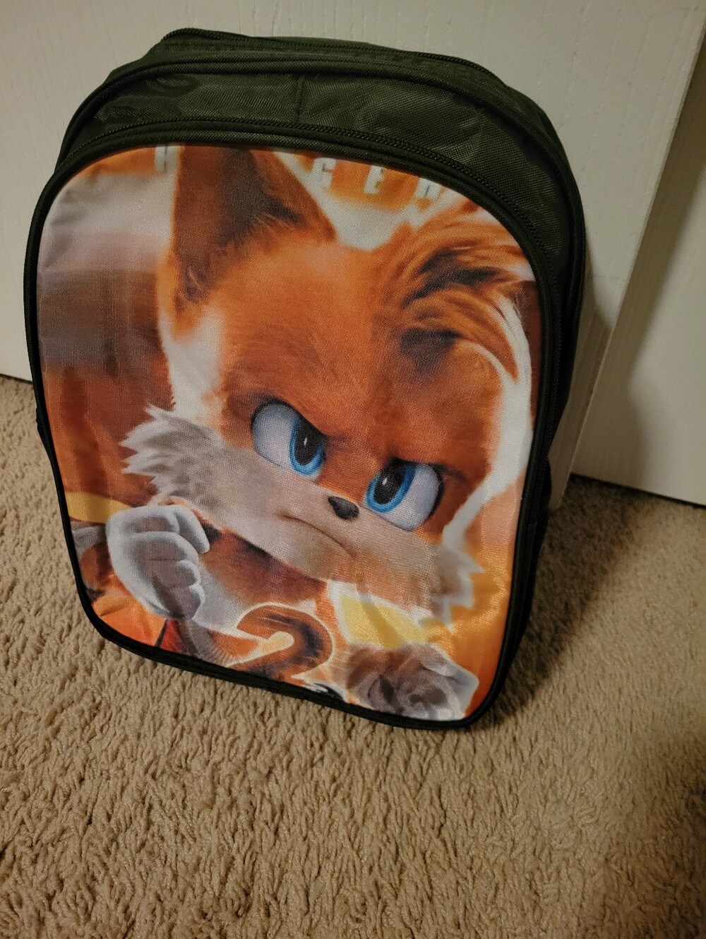 Sonic BacPac